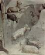 ди Бондоне, Джотто. Цикл фресок капеллы Арена [031] в Падуе (капелла Скровеньи). Сон Иоакима. Фрагмент